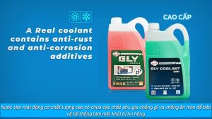 Nước làm mát động cơ Ô Tô Xe Máy GLY FORMULA Xanh/Đỏ Can 20L