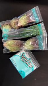 "SealZip ถุงเก็บผักสด ซีรีย์ XL (12x33 ซม.) 1 แพ็ค/15 ใบ/3 ลาย เก็บผักผลไม้สดนาน ถนอมอาหาร ใช้ง่าย สดใหม่เสมอ"