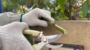 Garden Branch Trimmer Stainless Steel Cutting Pruner Tree Cutter Gardening Pruning Shear Scissor Anti-slip Home Tools