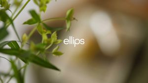 Ellips Hair Vitamin - Moroccan Smooth & Shiny - 50 ml