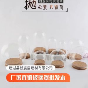 【Great Selection】 Glass Dome Cover+Base Decorative Clear Glass Bottle Cloche Bell Jar Display Case Cover Wood Base Centerpiece Landscape Vase Glass Vase Preserved Flower Display Dome Glass Cover