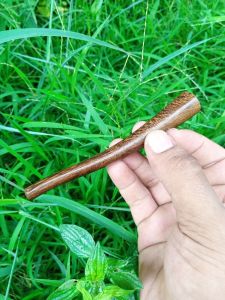 Pipa Once kayu gali johar asli hrga promo