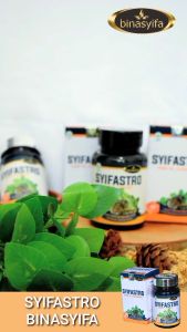 SYIFASTRO Obat Stroke Melancarkan Sirkulasi Peredaran Darah Mengatasi Penyempitan Pembuluh Darah Binasyifa Herbal