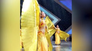 golden belly dance costume prop isis wings Silver Wings Adult Cloak Stage Performs Props Halloween Ball Cloak