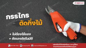RUBYSHOP กรรไกรตัดกิ่งไม้ กึ่งอัตโนมัติ ตัดได้กว้าง 1.5 cm ไม่ต้องออกแรงตัด ประหยัดเวลา กรรไกรตัดกิ่ง ไร้สาย มีแบตให้ 2 ก้อน ที่ตัดกิ่งไม้