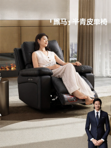 Electric Smart Single Sofa Chair