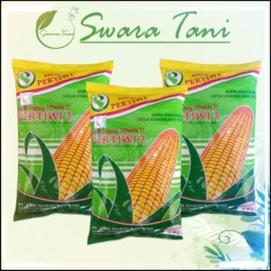 Benih Jagung Pertiwi 3 Hibrida F1 1 KG