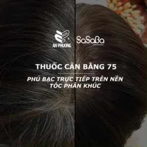 Thuốc nhuộm cân bằng tóc nhiều phân khúc phủ bạc trực tiếp sasaba 450ml chính hãng