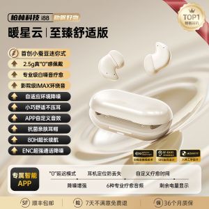Baecholz BLS-29 Bluetooth In-Ear Sleep Earphones Noise Reduction New 2025 Music Playback Call Function Long Battery Life