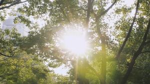 Bladeless Fan With Night Light Spray Air Cooler Air Humidifier USB Fan Desktop Fan Portable Silent Air Conditioner