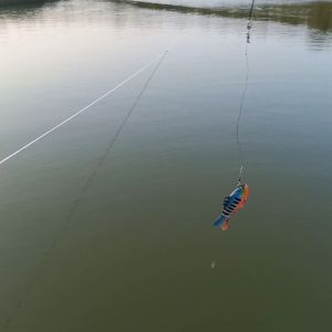 Umpan 7 Segmented Sinking 15gr 10cm: Panduan Lengkap