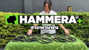 สายพาน HAMMERA+ แท้100% สายพานฟัน ร่อง B เบอร์ 48 - 82 RECMF 8480 - 8820 สายพานขับเคลื่อน สายพานการเกษตร สายพานอุตสาหกรรม รับประกัน 7 วัน สินค้ามาตรฐาน เกษตรทำเงิน