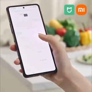Xiaomi Mijia Embedded Smart Steaming Oven S1 58L Baking Steaming Roaster Grilling Frying Air Fryer Built-in App Control MQR01RM
