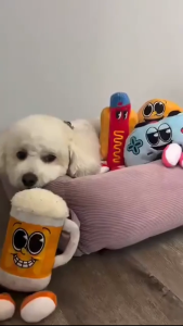 Fuzzyard The Homies Plush Toy for Dogs | 4 Legendary Design with Squeaker