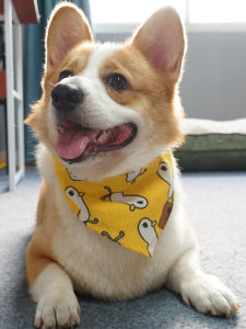 Dogs and Cats Scarf Triangular Binder Saliva Towel Corgi Cat Pomeranian Teddy Labrador Scarf Scarf Pet Supplies
