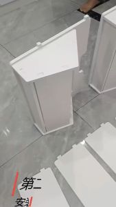 《SG STOCK》Wall-mounted shoe rack shoe cabinet slim storage cabinets Narrow spaces Flip-top Combined type