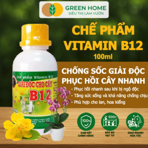 Mua 5 tặng 1 -  Chế Phẩm Vitamin B12 Greenhome Chai 100ml Chống Sốc Phục Hồi Giải Độc Cho Lan Cây Cảnh Khi Bị Bón Phân Quá Liều