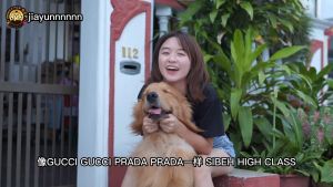 Prince Paw- Pet Skincare Specialist 1L Shampoo Suitable for a lot of pet dogs large size dogs