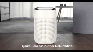 【SG Stock】POLO dehumidifier air purifier two in one water full automatic shut-off air purifier dehumidifier