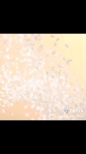 LẠP XƯỞNG ngon đặc sản miền tây loại 1kg-Vị ít béo dai ngon thơm nhẹ Mai Quế Lộ.