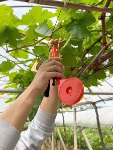 Plant Tying Machine Garden Plant Tapener Tool For Vegetables Grapes With 10 Rolls Of Tape+1 Box Nail