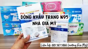 10 hộp 100 cái khẩu trang N95 Gia Mỹ