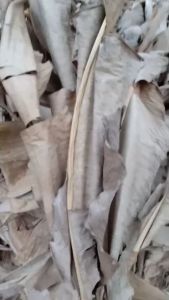 ใบตองแห้ง ผู้ชาย ใช้งานประดิษฐ์ ทำกันกระแทก งานศิลปะ ปลอดเคมี แบบประกอบด้วยเนื้อเหรียญผสม 30 มิตร