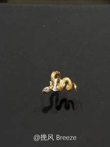 Vintage Gold Plated Sparkling Diamond Snake Ear Cuff Womens Fashion Jewelry Lucky Year Animal Style Alloy Silver Crafted Earring