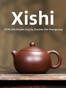 CANGHUTIANXIA | Yixing Zisha Clay Handmade Teapot Xishi Style