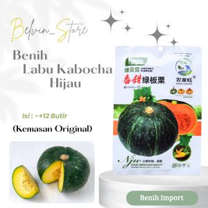 (-+12 butir) Benih labu kabocha hijau jepang import [kemasan pabrik]