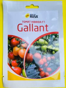 Benih Tomat GALLANT Hibrida f1 dari CAP RUSA mantab