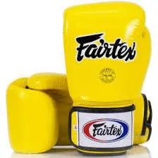 FAIRTEX Bgv1 Boxing Gloves