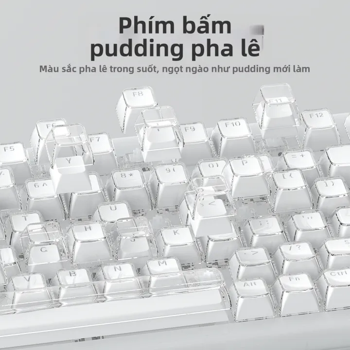 AULA | Nút Bấm Phím Đôi Màu Trong Suốt | BigBuy360 - bigbuy360.vn AULA | Nút Bấm Phím Đôi Màu Trong Suốt | BigBuy360 - bigbuy360.vn