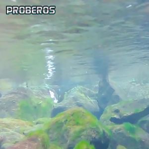 Mồi Câu Cá Hồi Dạng Spinner VIB Sequin Kim Loại Mồi Giả Minnow Mồi Crankbait Mồi Câu Có Móc Câu Dành Cho Nước Mặn Biển Sông.