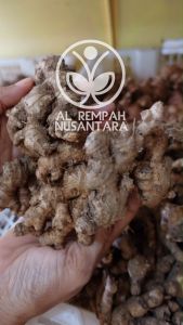 Jahe Emprit Super 500gr Grade A - Harga Murah
