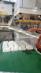 ถาดใส่อาหารชานอ้อย 2 ช่อง (ช่องไม่เท่ากัน) 850 ml พร้อมฝาใส (แพ็ค 50 ชิ้น) สีธรรมชาติ พร้อมส่ง