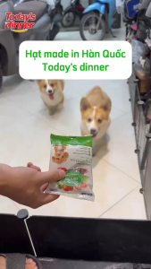[1KG] Thức ăn hạt cho chó mọi lứa tuổi TODAYS DINNER cân bằng dinh dưỡng nhập khẩu Hàn Quốc