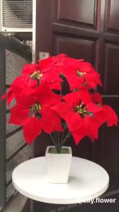 Hoa Giả Chậu Hoa Trạng Nguyên Mang Ý Nghĩa Phong Thuỷ Cắm Sẵn Decor Trang Trí Nhà Cửa DC-221