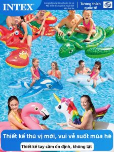 Intex | Phao bơm hơi dùng cho hồ bơi và vui chơi dưới nước