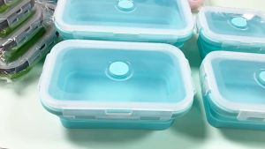 🍱 Foldable Silicone Lunch Box | Portable Crisper & Fridge Organizer | Microwave/Dishwasher Safe | KL
