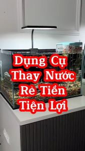 Bộ dụng cụ vệ sinh bể cá: hút phân kết hợp cạo rêu Jeneca AS-15B ALEAS
