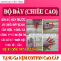 FREE SHIP Nệm cao su non American - Đủ size - Giá tại xưởng. 