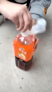 Pigeon Bird Water Drinker & Chicken Gamefowl Feeder: A Comprehensive Guide