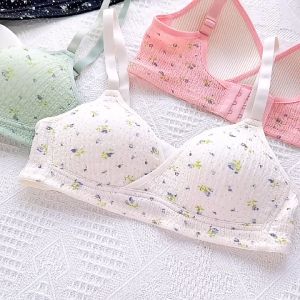เสื้อชั้นในผู้หญิง เสื้อในดันทรง บราน่ารัก เสื้อชั้นในลูกไม้ลายดอกมีโบว์