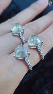 Collection Grade Natural Libyan Desert Glass Meteorite Heart Titanium Adjustable Rings