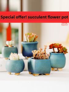 Simplified Ceramic Terracotta Plant Pots for Succulents Breathable Thumb Pots Home Decorative Garden Planters Creative Sizes