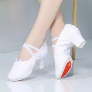 Giày Khiêu Vũ Cao Gót Đế Mềm Màu Khỉ Cho Giáo Viên Và Phụ Nữ Giày Khiêu Vũ Bụng Giày Khiêu Vũ Ballet Giày Khiêu Vũ