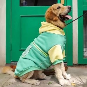 Big Dog Hoodies Autumn And Winter Labrador Large Dog Border Collie Pet Clothing Spring And Autumn Golden Retriever Sweatshirt