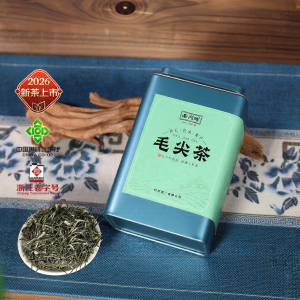XI HU BRAND | Premium Green Spring Tea Tender Leaves 100g