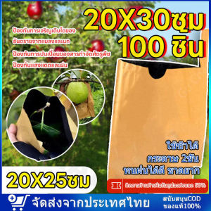 ถุงห่อฝรั่งสำเร็จรูป ถุงห่อผลไม้ ถุงห่อมะม่วง กระดาษ 2ชั้น ถุงเจาะรู คาร์บอนขนาด 20*30 ซม จำนวน 100ใบ ห่อได้ทั้ง 2 เเบบ กันฝน กันเเดด กันเเมลง แสงแดดไม่ต้องห่อกระดาษทับ ใช้ซ้ำได้ ไม่มีไอน้ำเกาะในถุง ป้องกันแมลงวันทอง ช่วยให้ผลไม้ ทนฝนได้ดี ขาดยาก